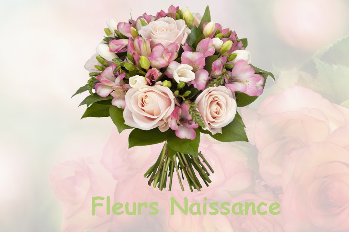 fleurs naissance SAINT-NAZAIRE-LES-EYMES