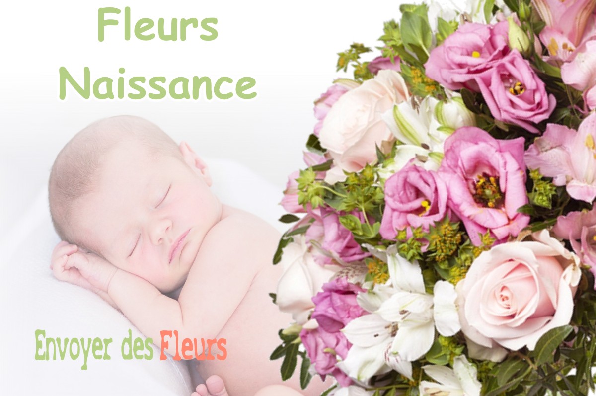 lIVRAISON FLEURS NAISSANCE à SAINT-NAZAIRE-LES-EYMES